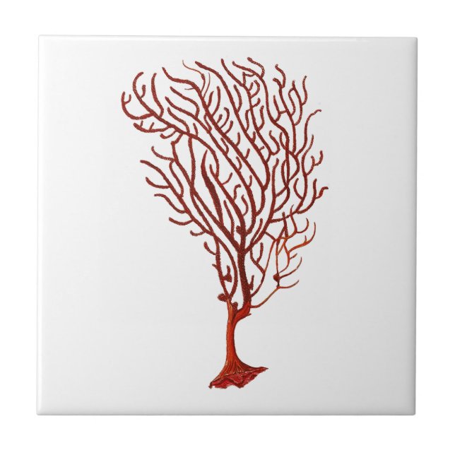 Warm Red Sea Coral no.5 Nautical Decor Tile (Front)