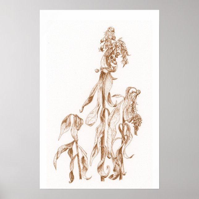 Warm Seasonal Botanical Ink Art Elegant Wall  Poster (Front)
