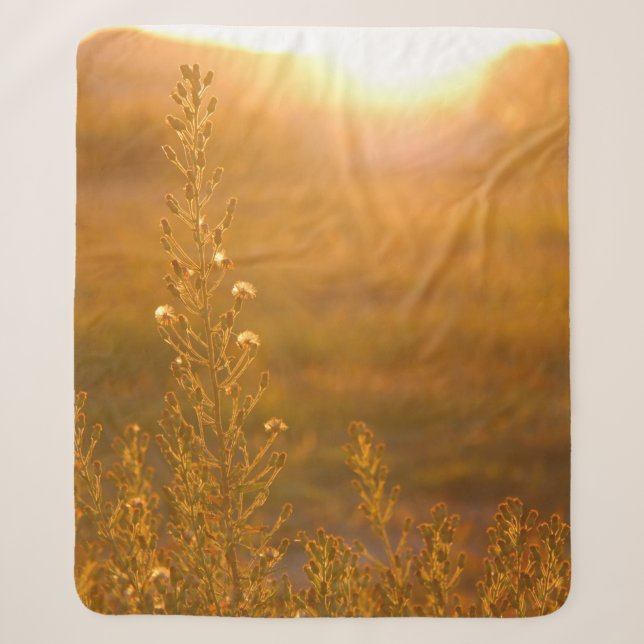 WARM SHOT OF MEADOW GRASS SHERPA BLANKET (Front)