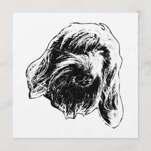 Warm Spinone Gathering Invitation
