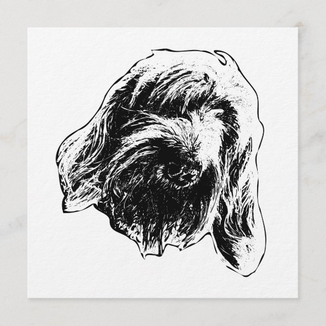 Warm Spinone Gathering Invitation (Front)