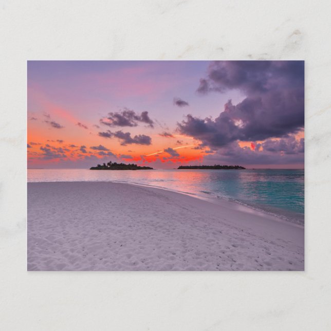 Warm Tropical Paradise Beach Sunset Postcard (Front)