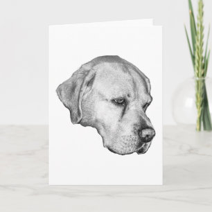 Warm winter regards card