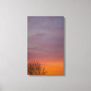 Warm Winter Sunrise, Ohio Canvas Print