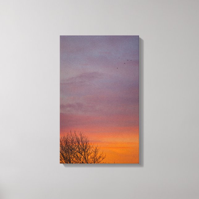 Warm Winter Sunrise, Ohio Canvas Print (Front)