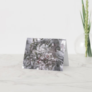 Warm Winter Wishes Christmas Card