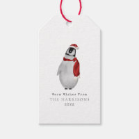 Warm Wishes Baby Penguin Santa