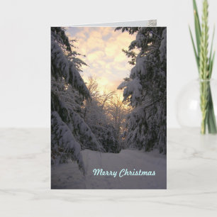 Warm Wishes Christmas Snowfall Cards