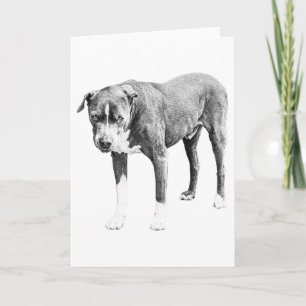 Warm Wishes, Steady Friend Card