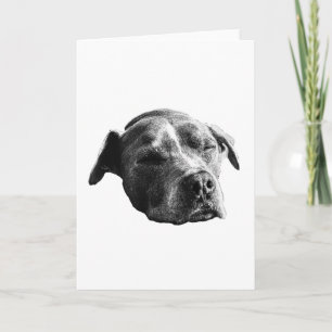 Warm Words, Gentle Shade Card