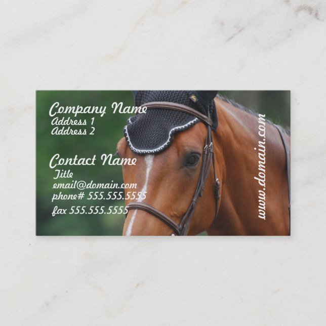 Warmblood Horse Business Card (Front)