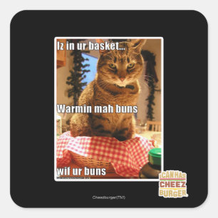 Warmin mah buns square sticker