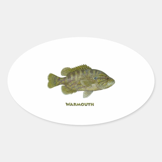 Warmouth Bass Oval Sticker (Front)