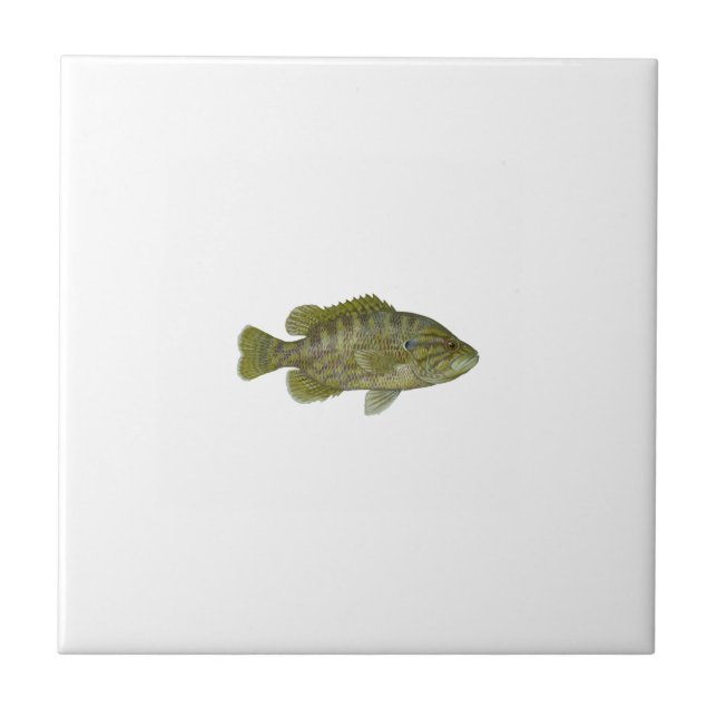 Warmouth Bass Tile (Front)