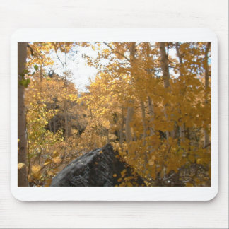 Warmth of Autumn Mouse Mat