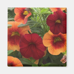 Warmth Of The Sun Floral Magnet