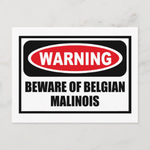 Warning BEWARE OF BELGIAN MALINOIS Postcard