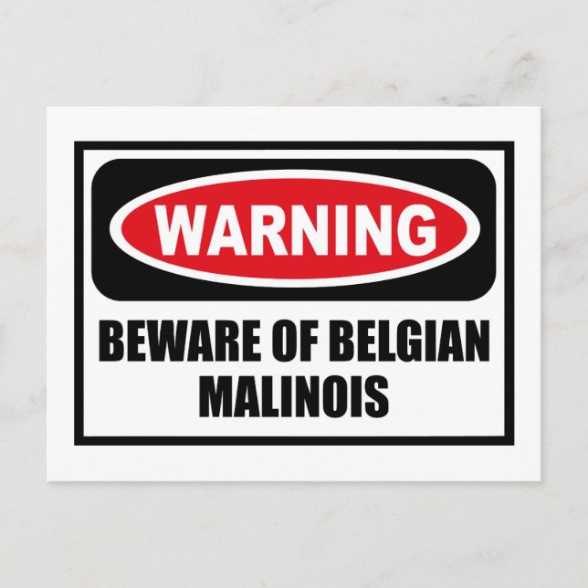 Warning BEWARE OF BELGIAN MALINOIS Postcard (Front)