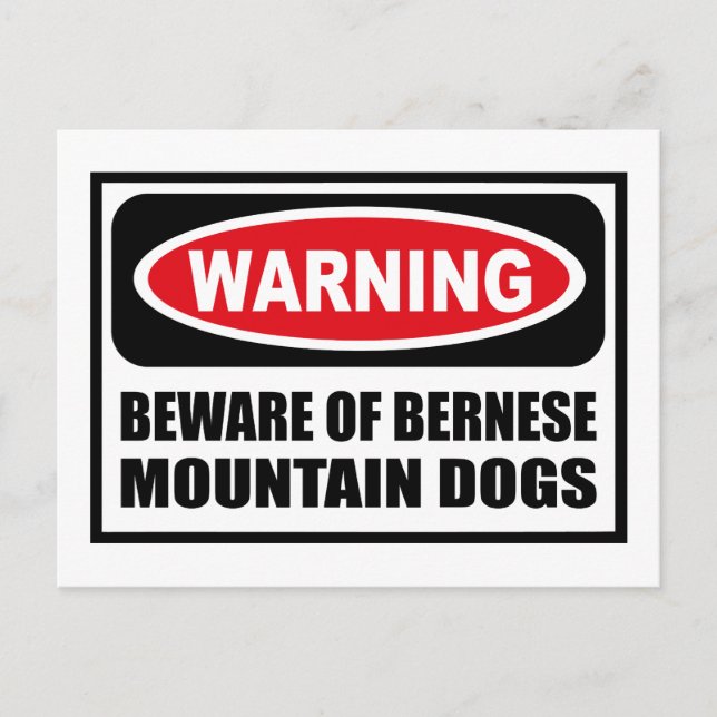 Warning BEWARE OF BERNESE MOUNTAIN DOGS Postcard (Front)