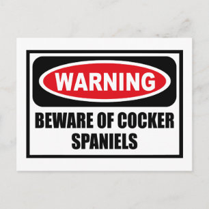 Warning BEWARE OF COCKER SPANIELS Postcard