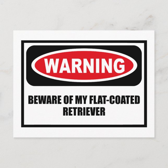 Warning BEWARE OF MY FLAT-COATED RETRIEVER Postcar Postcard (Front)