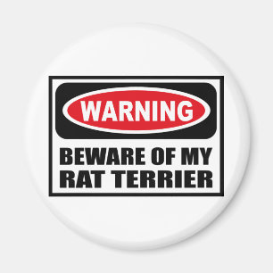 Warning BEWARE OF MY RAT TERRIER Magnet