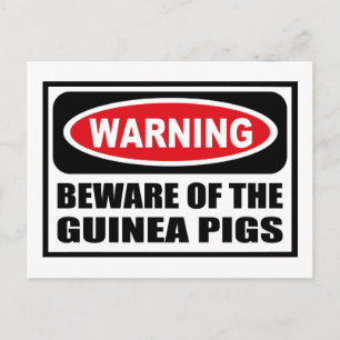 Warning BEWARE OF THE GUINEA PIGS Postcard
