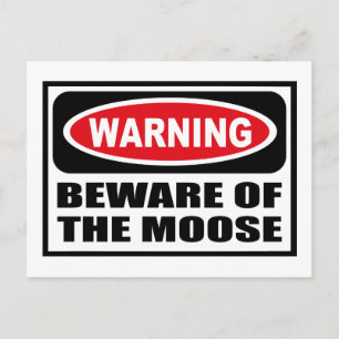Warning BEWARE OF THE MOOSE Postcard