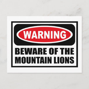 Warning BEWARE OF THE MOUNTAIN LIONS Postcard