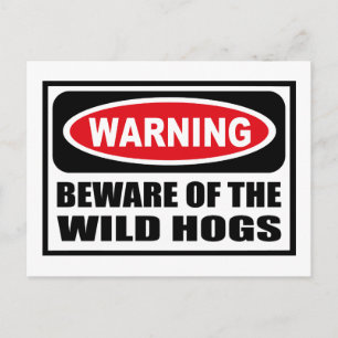 Warning BEWARE OF THE WILD HOGS Postcard