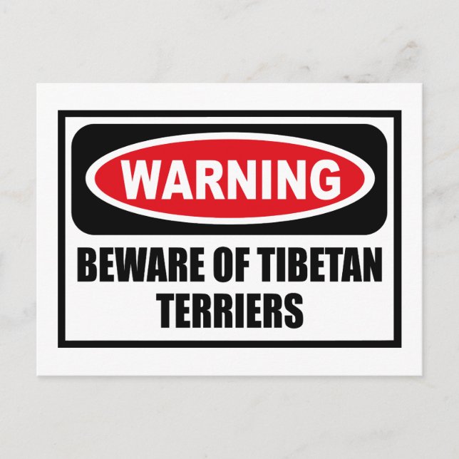 Warning BEWARE OF TIBETAN TERRIERS Postcard (Front)