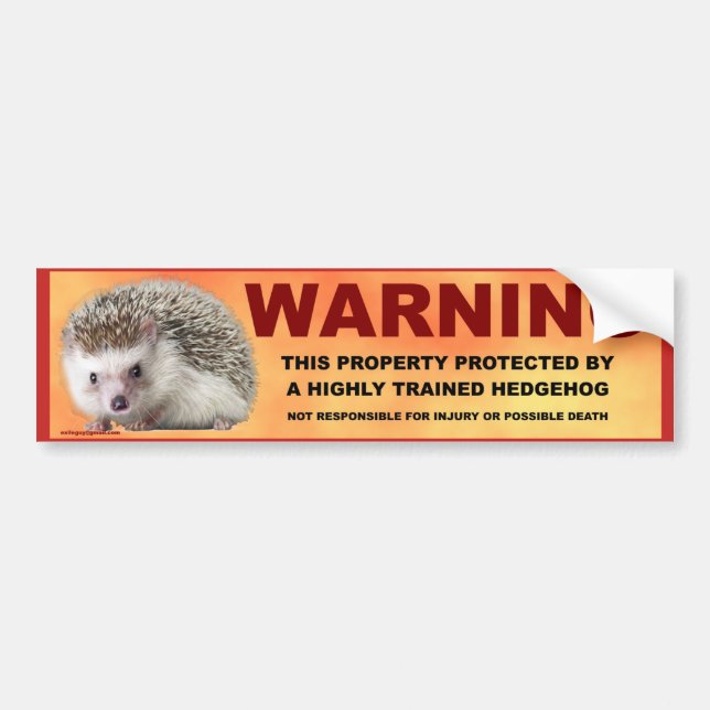 WARNING BUMPER STICKER (Front)