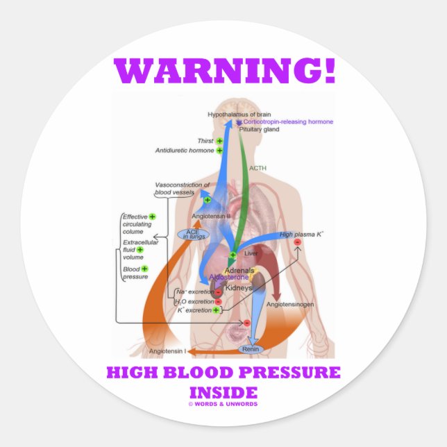 Warning! High Blood Pressure Inside (RAAS) Classic Round Sticker (Front)