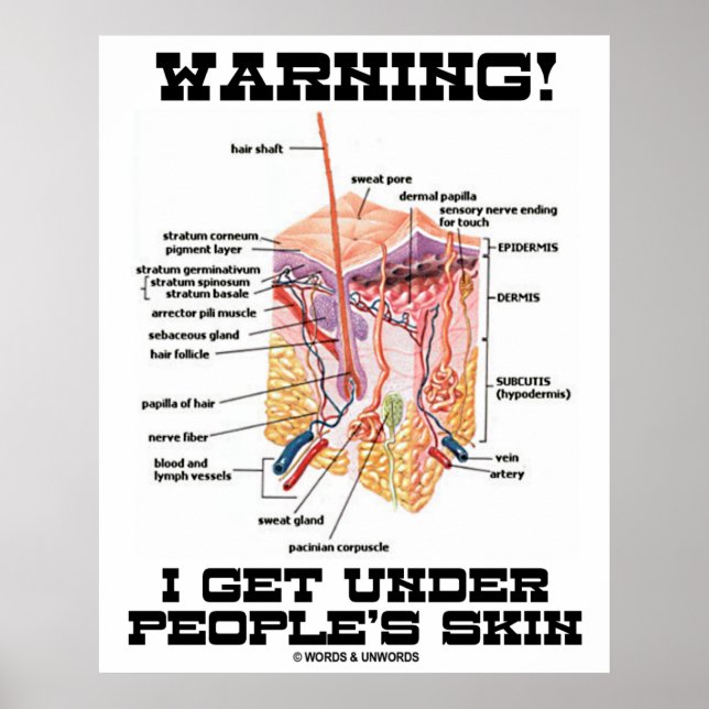 Warning! I Get Under People's Skin (Dermal Layers) Poster (Front)