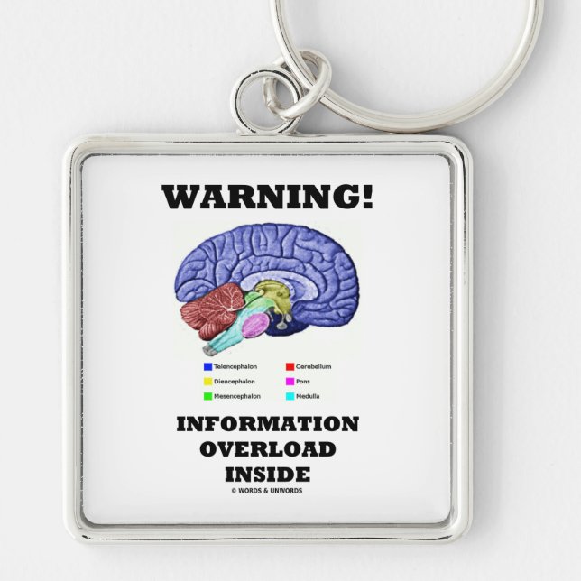 Warning! Information Overload Inside (Brain Key Ring (Front)