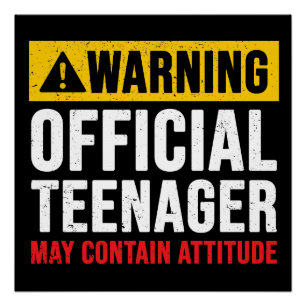 Warning Official Teenager 13th Birthday Gift Poster