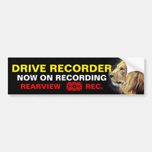 Warning Sticker:Lion Bumper Sticker