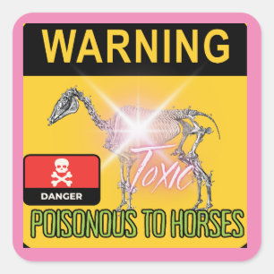 warning toxic to horses square sticker