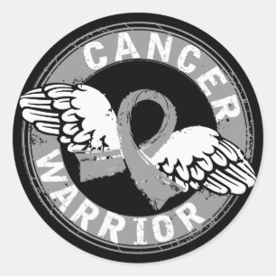 Warrior 14C Brain Cancer Classic Round Sticker