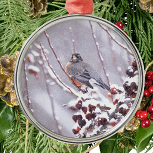 Warrior American Robin In Winter Metal Tree Decoration