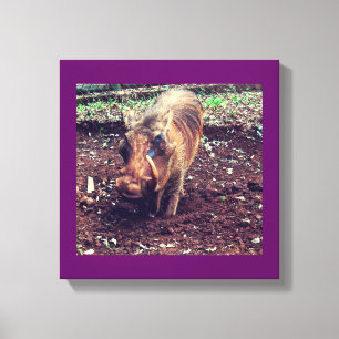 Warthog in Kenya Canvas Print