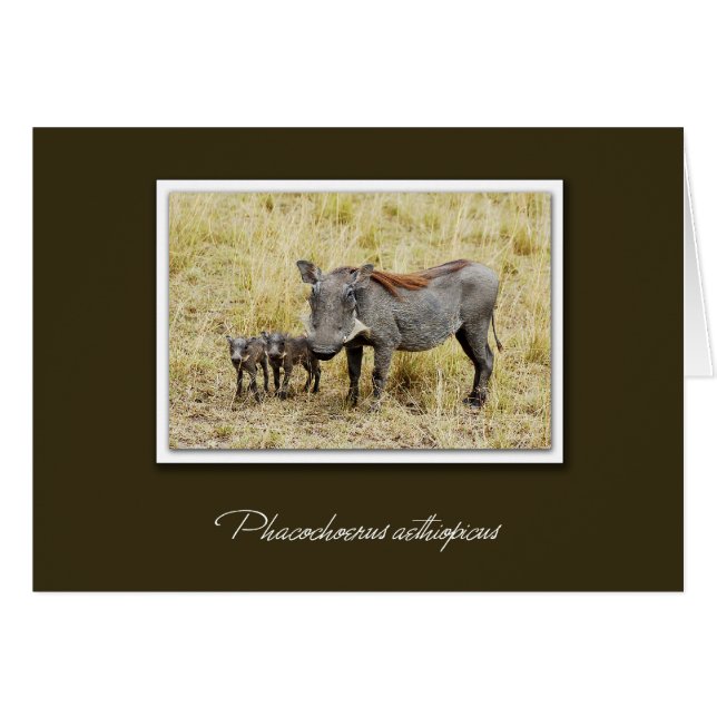 Warthog with piglets safari cards (Front Horizontal)