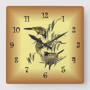 Warty-Faced Honey-Eater ~ Elizabeth Gould 14 ~ Square Wall Clock