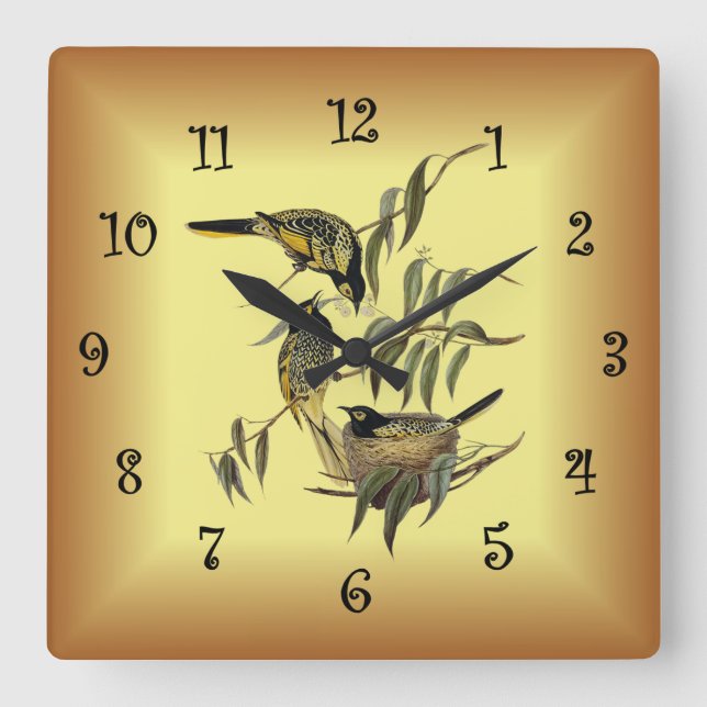 Warty-Faced Honey-Eater ~ Elizabeth Gould 14 ~ Square Wall Clock (Front)