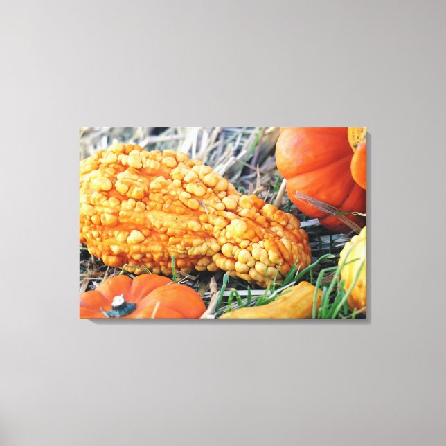 Warty Gourd  Canvas Print (Front)