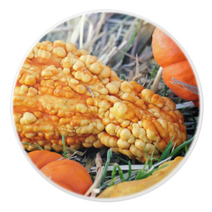 Warty Gourd Ceramic Knob