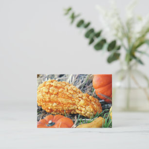 Warty Gourd Enclosure Card