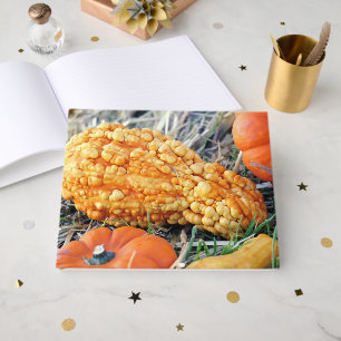 Warty Gourd  Guest Book
