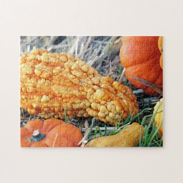 Warty Gourd  Jigsaw Puzzle (Horizontal)