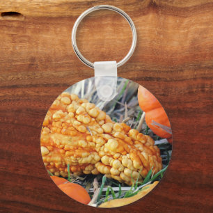 Warty Gourd Key Ring